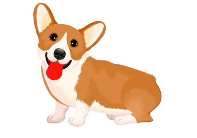 屬狗2022年運勢及運程如何