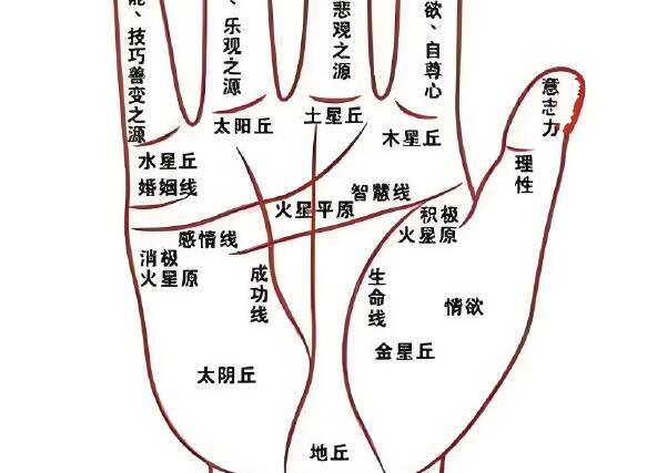 永康風(fēng)水師教你怎么看掌紋圖解