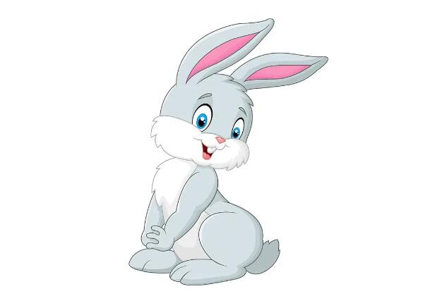 屬兔人2024年運(yùn)勢(shì)及運(yùn)程詳解